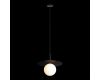 Подвесной светильник Loft IT Ufo 10120/250P Black