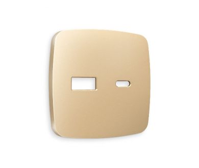 Купить Лицевая панель для розетки 2USB тип A+C Ambrella Volt Omega OP6110 Лицевая панель для розетки 2USB тип A+C Ambrella Volt Omega OP6110