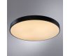 Потолочный светодиодный светильник Arte Lamp Arena A2673PL-1BK