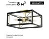 Потолочная люстра Lightstar Regolo 713347