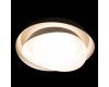 Потолочный светильник Loft IT Petale 10256 Black