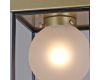 Потолочный светильник Illumico IL0050-1C-79