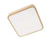 Потолочный светильник Loft IT Flims 10228/C