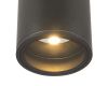 Уличный потолочный светильник Maytoni Bar O306CL-L7GF