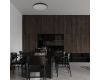 Потолочный светильник Loft IT Dime 10371 Black