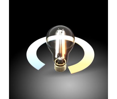 Купить Умная светодиодная лампа Elektrostandard груша прозрачная E27 6,5W 4200/6500/3300K 4690389174247 Умная светодиодная лампа Elektrostandard груша прозрачная E27 6,5W 4200/6500/3300K 4690389174247