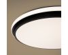 Потолочный светильник Freya Pie FR6086CL-L117B