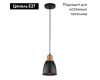 Подвесной светильник Arte Lamp Eurica A4248SP-1BK