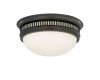 Потолочный светильник Cloyd Propp 10220