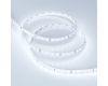 Светодиодная лента Arlight RT-A98-8mm 24V Cool 8K (10 W/m, IP20, 2835, 5m) 019912(2)