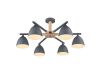 Люстра на штанге Lumion Colange 8096/6C