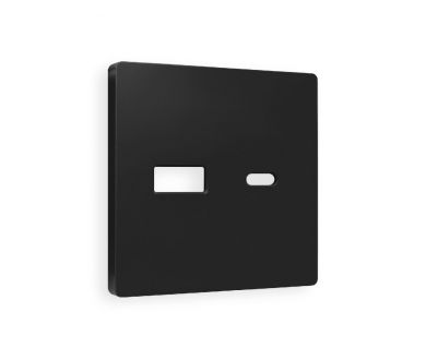 Купить Лицевая панель для розетки 2USB тип A+C Ambrella Volt Alfa AP8110 Лицевая панель для розетки 2USB тип A+C Ambrella Volt Alfa AP8110