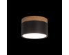 Накладной светильник Loft IT Grape 10162 Black