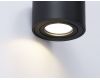 Накладной светильник Ambrella Light Cup TN223