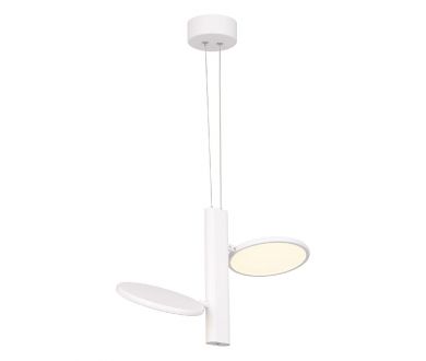 Купить Подвесной светильник Lussole Aberdeen LSP-7085 Подвесной светильник Lussole Aberdeen LSP-7085