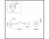 Бра Odeon Light 4255/3WL