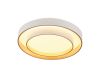 Потолочный светильник Myfar Rhea MR9161-CL