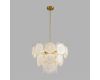 Подвесная люстра Lumion Moderni Chipsy 8320/5
