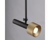Подвесной светильник iLedex Delta 2361-1 BK+BR
