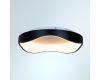Потолочный светильник Arte Lamp Ankaa A3085PL-48BK