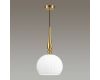 Подвесной светильник Odeon Light 4766/1