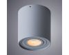 Потолочный светильник Arte Lamp Falcon A5645PL-1GY