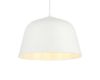 Подвесной светильник Evoluce Blank SLE1805-503-01
