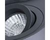 Потолочный светильник Arte Lamp Falcon A5645PL-2BK