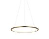 Подвесной светодиодный светильник Loft IT Ring 10014M