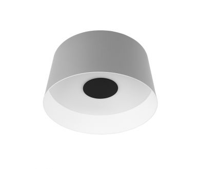 Купить Потолочный светильник Loft IT Duo 10360M Grey Потолочный светильник Loft IT Duo 10360M Grey