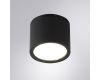 Уличный потолочный светильник Arte Lamp Piautos A1913PF-1BK