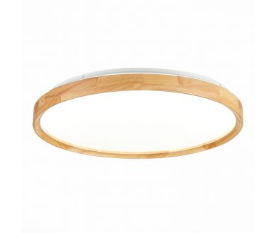 Купить Потолочный светильник Evoluce Delia SLE201382-01 Потолочный светильник Evoluce Delia SLE201382-01
