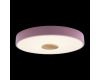 Потолочный светильник Loft IT AXEL 10003/24 Pink