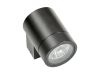 Уличный настенный светильник Lightstar Paro 350607