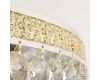 Потолочная люстра Bohemia Ivele Crystal AL19031/55FL WMG