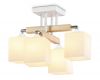 Потолочный светильник Ambrella Light Traditional TR9512