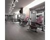 Трековый трехфазный светильник Arlight LGD-TUBE-TURN-4TR-L600-20W Day4000 (BK, 180 deg, 230V) 036297(1)