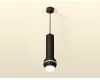 Подвесной светильник Ambrella Light Techno Spot XP11020010 (A2302, C6356, A2010, C1102, N7160)
