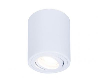 Купить Потолочный светильник Ambrella Light Techno Spot TN225 Потолочный светильник Ambrella Light Techno Spot TN225