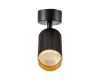 Спот Lampit Rin TS TK10-C1 BK+GD