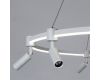 Подвесная люстра Arte Lamp Ring A2186SP-1WH