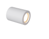 Потолочный светильник Crystal Lux CLT 422C WH