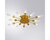 Потолочная люстра Arte Lamp Maple A1276PL-12GO