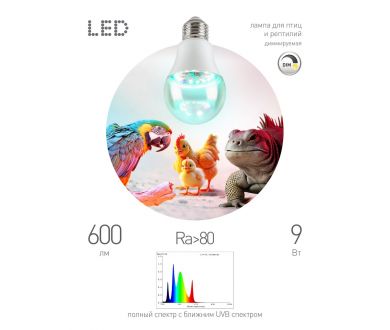 Купить Светодиодная лампа для птиц и рептилий Эра FITO-Dim 9W Chicken E27 Б0059884 Светодиодная лампа для птиц и рептилий Эра FITO-Dim 9W Chicken E27 Б0059884