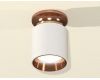 Потолочный светильник Ambrella Light Techno Spot XS6301201 (N6906, C6301, N6114)