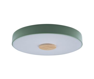 Купить Потолочный светильник Loft IT AXEL 10003/24 Green Потолочный светильник Loft IT AXEL 10003/24 Green
