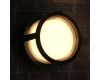Уличный потолочный светильник Arte Lamp Ulysses A6206PF-1BK