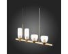 Подвесная люстра ST-Luce SL1119.203.04
