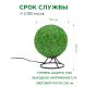 Светильник-ночник Apeyron 12-81
