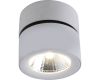 Спот Divinare Urchin 1295/03 PL-1